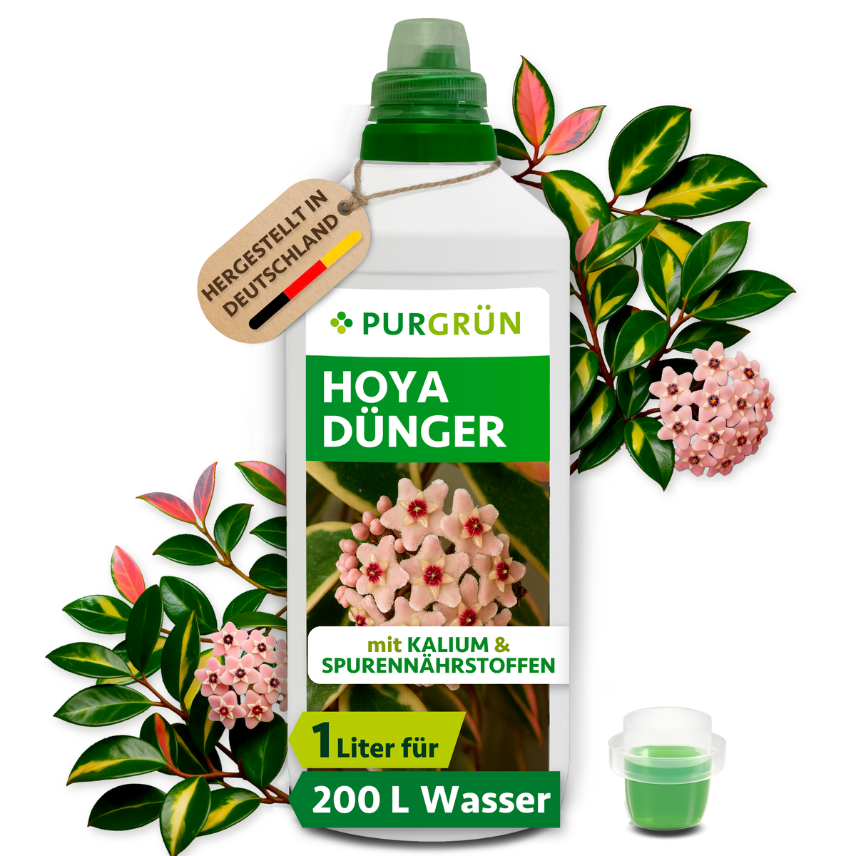 Purgrün Hoya-Dünger in der 1-Liter-Flasche mit Dosierkappe, umgeben von Hoya-Blüten und Blättern, mit Anhänger „Hergestellt in Deutschland“.