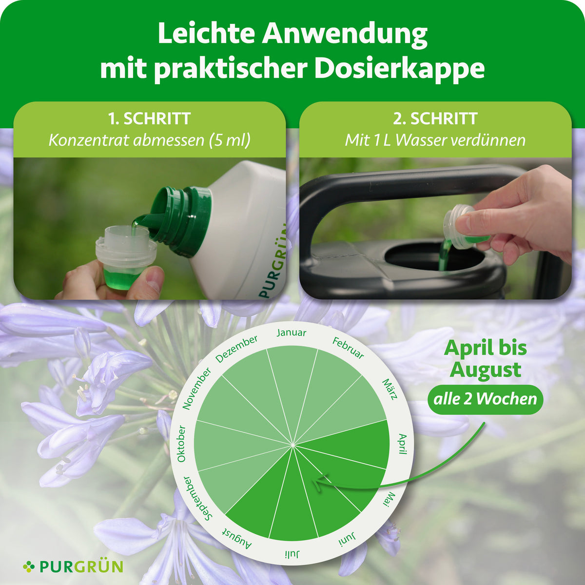 Anwendung: 5 ml Konzentrat abmessen, mit 1 L Wasser verdünnen und von April bis August alle 2 Wochen düngen.