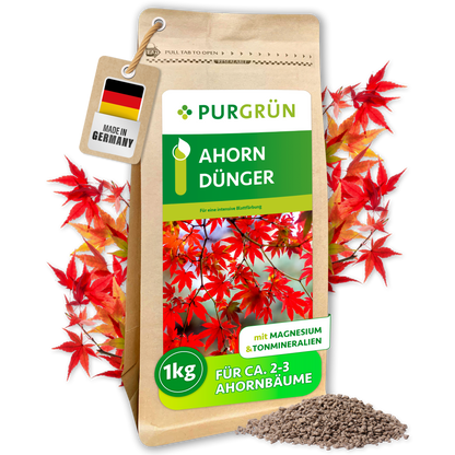 Purgrün Ahorn-Dünger im 1-kg-Beutel mit Magnesium und Tonmineralien, umgeben von roten Ahornblättern und Granulat.