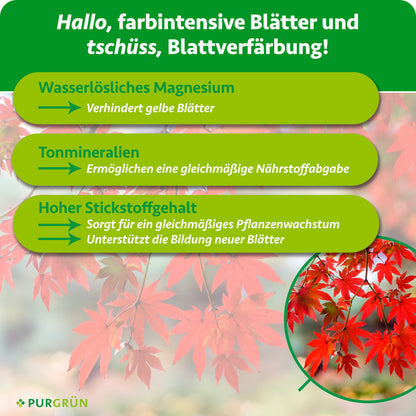 Wasserlösliches Magnesium verhindert gelbe Blätter, Tonmineralien ermöglichen eine gleichmäßige Nährstoffabgabe, hoher Stickstoffgehalt unterstützt gleichmäßiges Wachstum und neue Blätter.