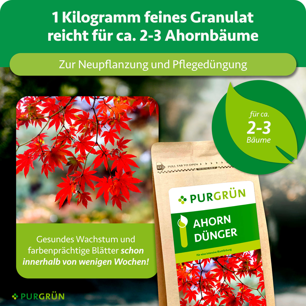 1 kg feines Granulat reicht für ca. 2–3 Ahornbäume und eignet sich zur Neupflanzung und Pflegedüngung.