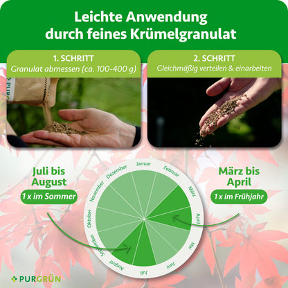 Anwendung: ca. 100–400 g Granulat abmessen, gleichmäßig verteilen und einarbeiten. Je einmal im März bis April und Juli bis August düngen.