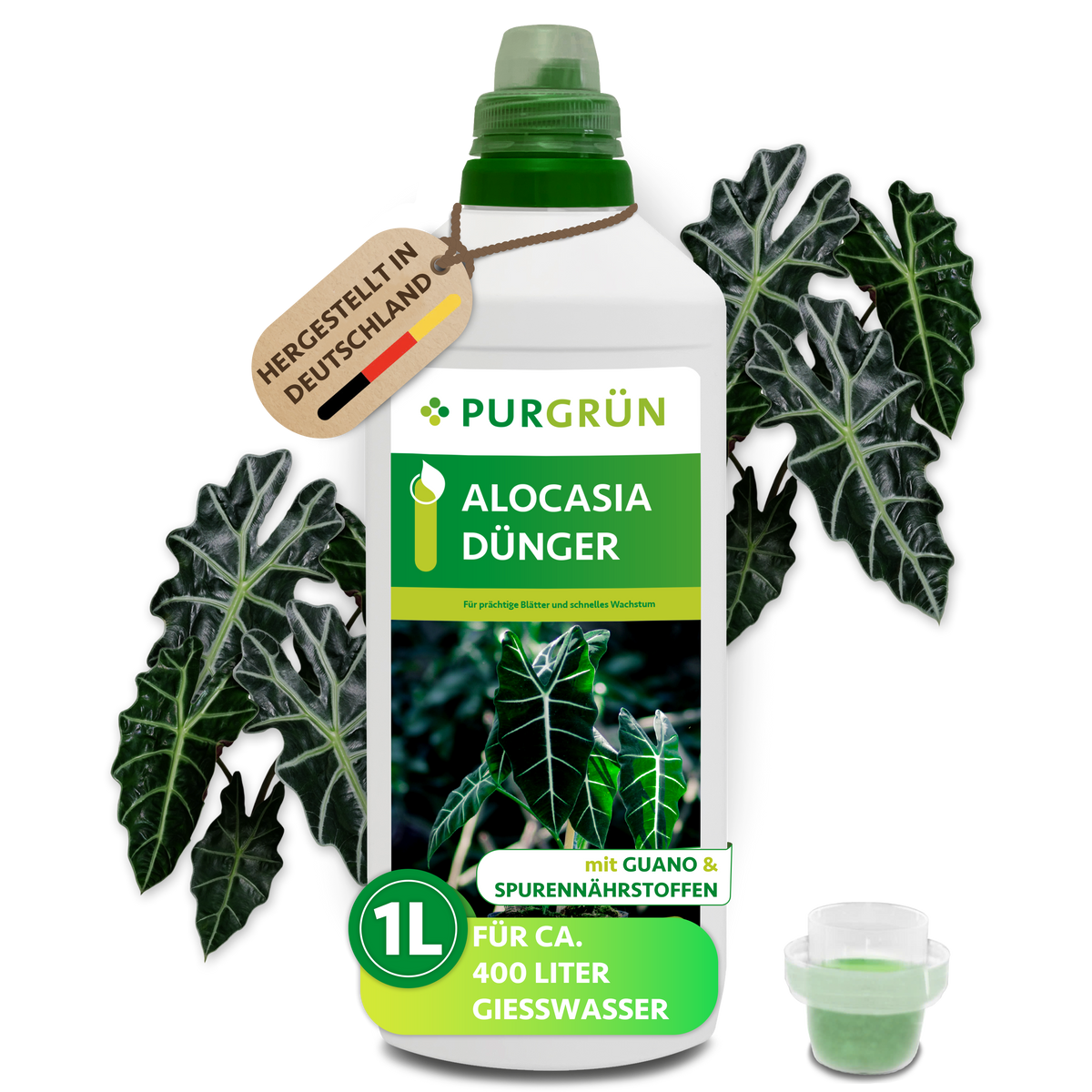 Der Purgrün Alocasia-Dünger 1 Liter enthält eine Flasche mit Alocasia-Blättern, die für ca. 400 Liter Gießwasser geeignet ist. Enthält Mikronährstoffe für schnelles Wachstum. Inklusive Messkappe und Abbildung frischer Alocasia-Blätter.