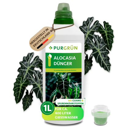 Der Purgrün Alocasia-Dünger 1 Liter enthält eine Flasche mit Alocasia-Blättern, die für ca. 400 Liter Gießwasser geeignet ist. Enthält Mikronährstoffe für schnelles Wachstum. Inklusive Messkappe und Abbildung frischer Alocasia-Blätter.