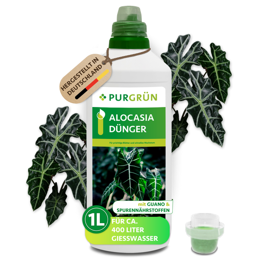 Der Purgrün Alocasia-Dünger 1 Liter enthält eine Flasche mit Alocasia-Blättern, die für ca. 400 Liter Gießwasser geeignet ist. Enthält Mikronährstoffe für schnelles Wachstum. Inklusive Messkappe und Abbildung frischer Alocasia-Blätter.