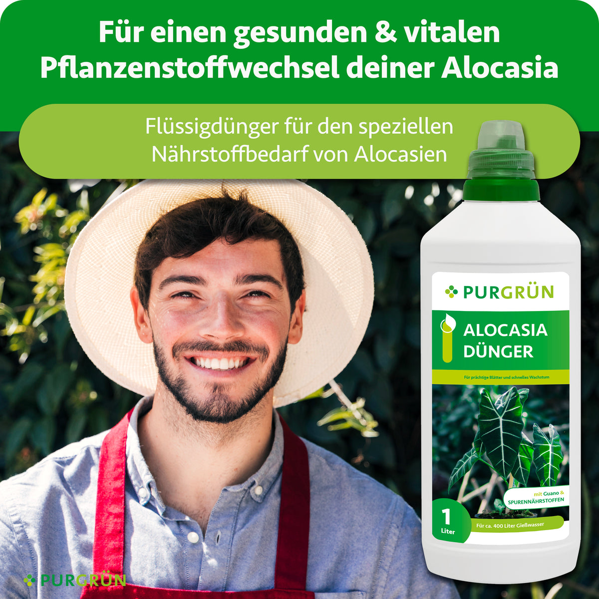 Ein lächelnder Mann mit Brille, Hut und roter Schürze steht neben einer 1-Liter-Flasche Purgrün Alocasia-Dünger. Sowohl auf dem Bild als auch auf der Flasche wird auf die Spurennährstoffe hingewiesen, die für schnelles Wachstum und gesunde Alocasia-Pflanzen sorgen.