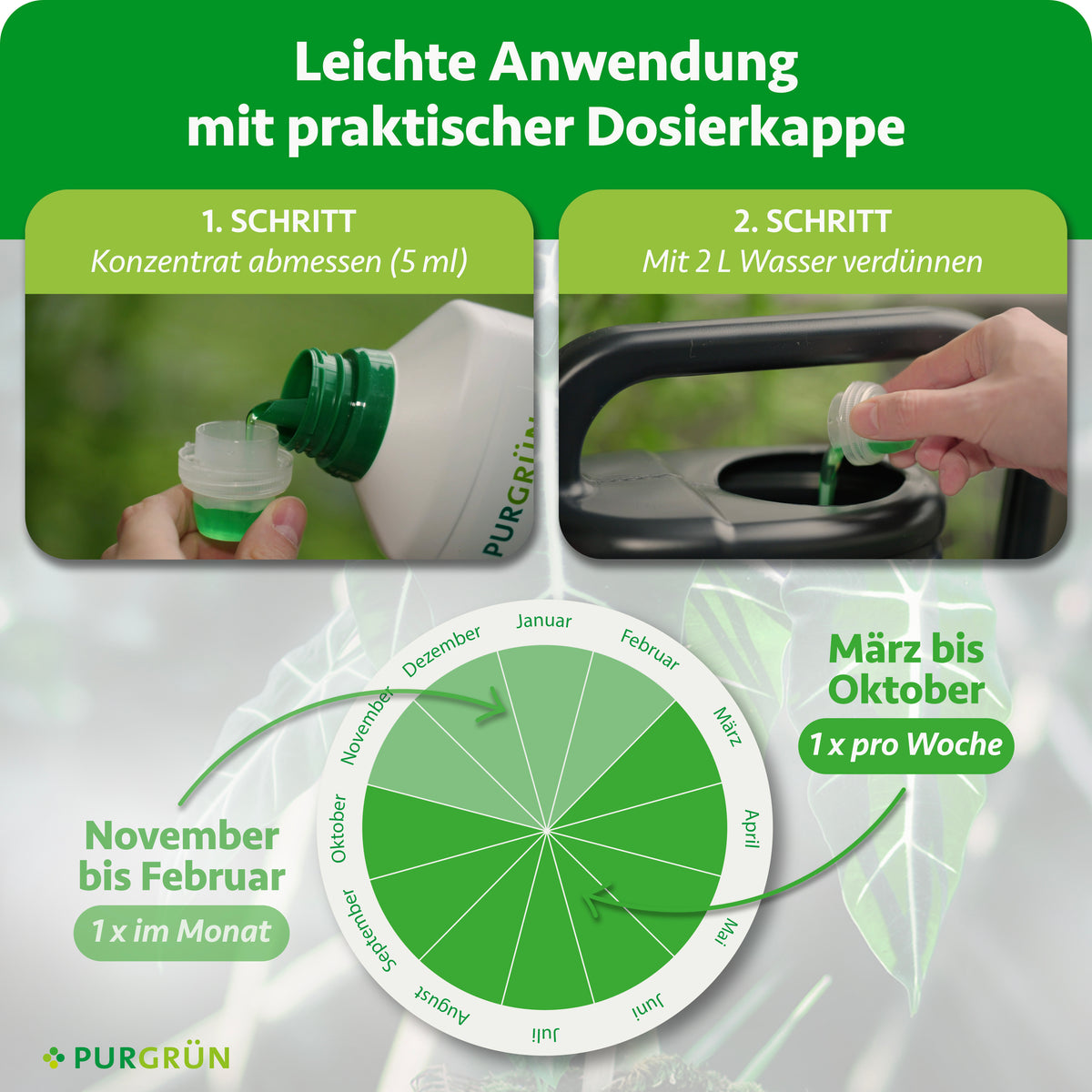 Mit der Dosierkappe 5 ml Konzentrat abmessen und mit 2 l Wasser verdünnen; von März bis Oktober einmal pro Woche, von November bis Februar einmal im Monat anwenden.