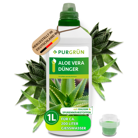 Purgrün Aloe-Vera-Dünger in der 1-Liter-Flasche mit Dosierkappe, umgeben von Aloe-Vera-Pflanzen; ausreichend für ca. 200 Liter Gießwasser.