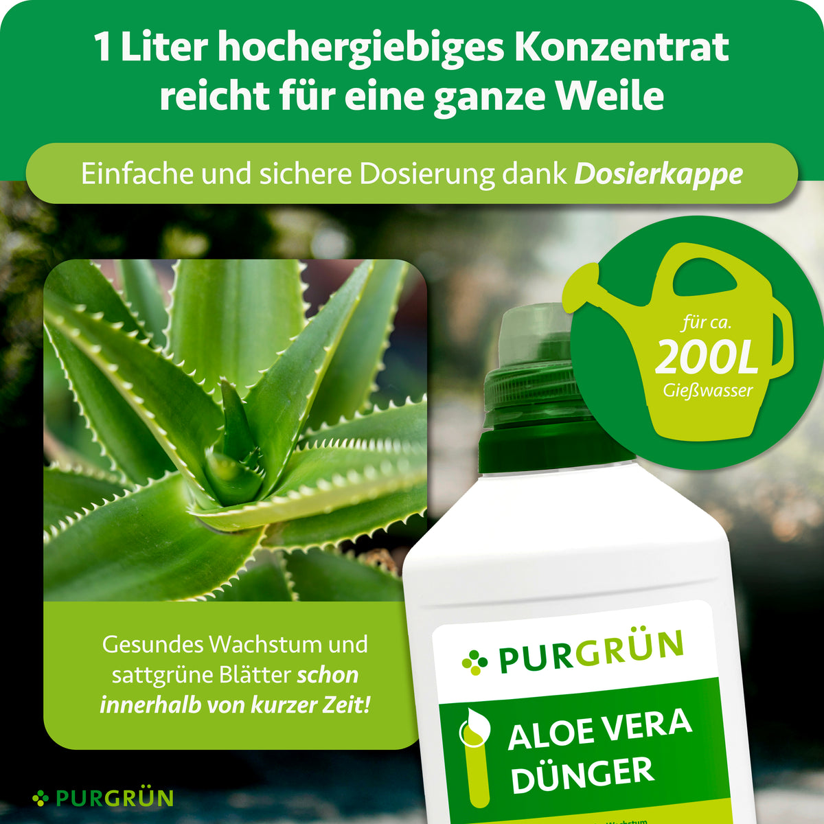 Ein Liter hochergiebiges Konzentrat mit Dosierkappe reicht für ca. 200 Liter Gießwasser. Beworben werden gesundes Wachstum und sattgrüne Blätter innerhalb kurzer Zeit.