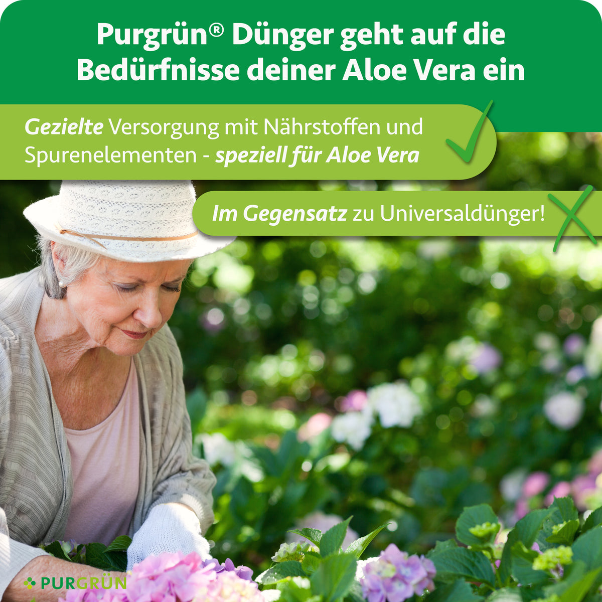 Eine ältere Frau pflegt blühende Pflanzen im Garten. Der Dünger versorgt Aloe Vera gezielt mit Nährstoffen und Spurenelementen und wird einem Universaldünger gegenübergestellt.