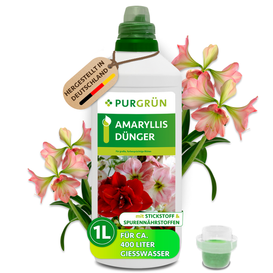 Purgrün Amaryllis-Dünger in der 1-Liter-Flasche mit Dosierkappe, ausreichend für ca. 400 Liter Gießwasser.