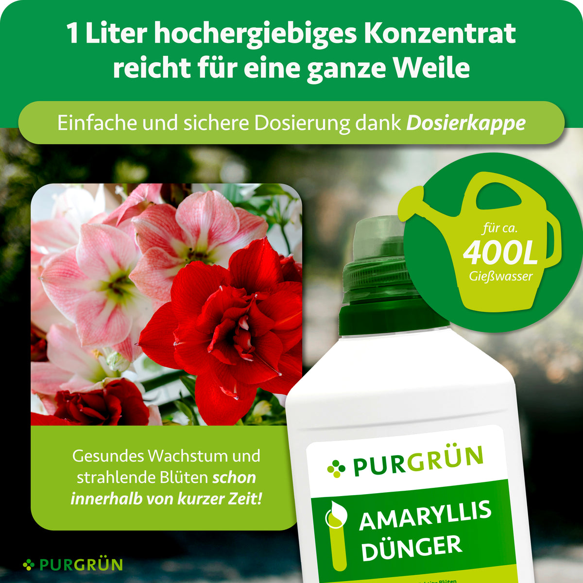 1 Liter hochergiebiges Konzentrat für ca. 400 Liter Gießwasser, mit Dosierkappe zur einfachen und sicheren Dosierung.