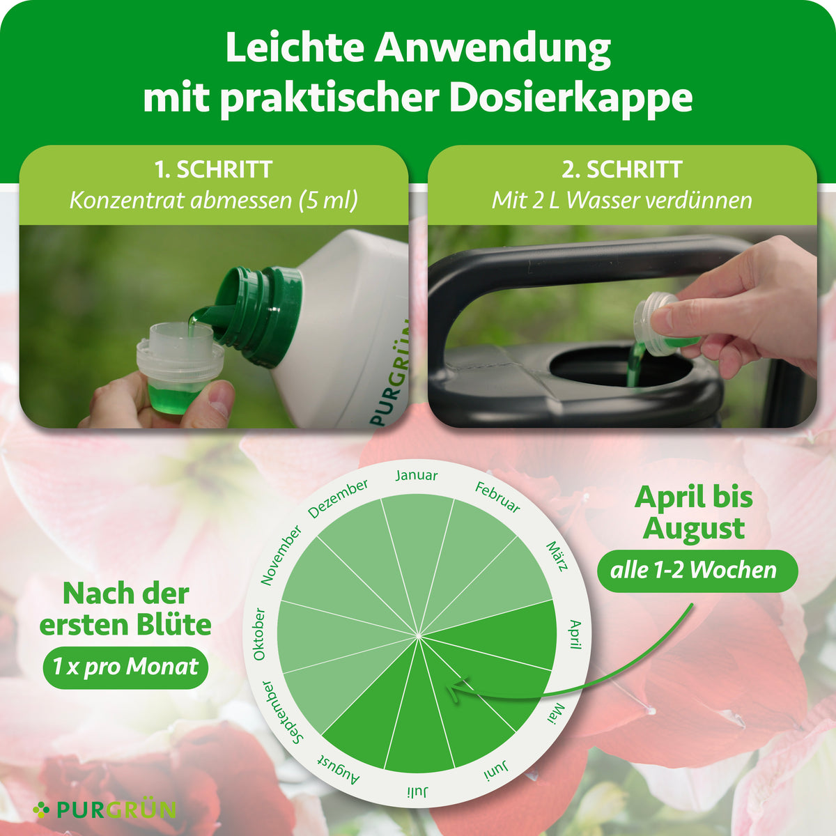 Anwendung: 5 ml Konzentrat abmessen und mit 2 l Wasser verdünnen. Von April bis August alle 1–2 Wochen düngen, nach der ersten Blüte einmal pro Monat.