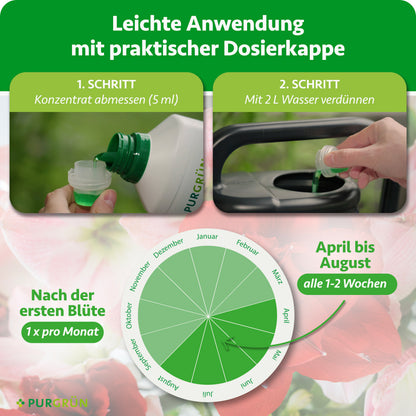 Anwendung: 5 ml Konzentrat abmessen und mit 2 l Wasser verdünnen. Von April bis August alle 1–2 Wochen düngen, nach der ersten Blüte einmal pro Monat.