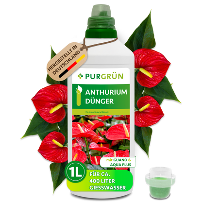 Purgrün Anthurium-Dünger in der 1-Liter-Flasche mit Dosierkappe, umgeben von roten Anthurien; reicht für ca. 400 Liter Gießwasser.