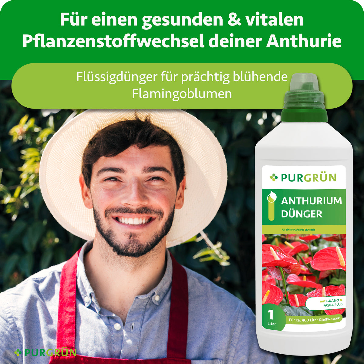 Purgrün Anthurium-Dünger neben einem lächelnden Gärtner, beworben für einen gesunden, vitalen Pflanzenstoffwechsel und prächtig blühende Flamingoblumen.
