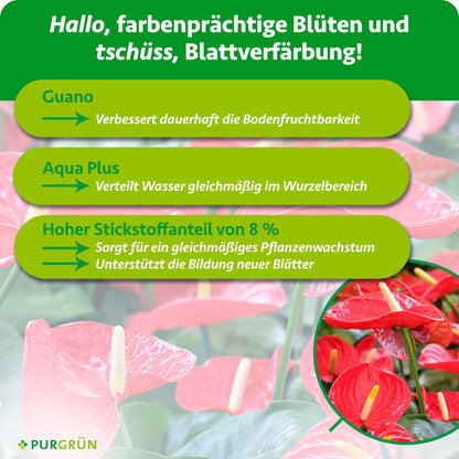 Guano verbessert dauerhaft die Bodenfruchtbarkeit, Aqua Plus verteilt Wasser gleichmäßig im Wurzelbereich. 8 % Stickstoff sorgen für gleichmäßiges Pflanzenwachstum und unterstützen die Bildung neuer Blätter.