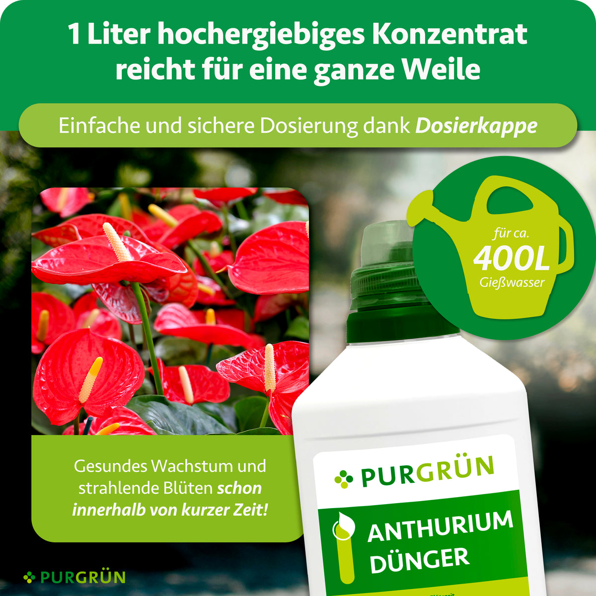 Ein Liter hochergiebiges Konzentrat reicht für ca. 400 Liter Gießwasser und lässt sich dank Dosierkappe einfach und sicher dosieren.