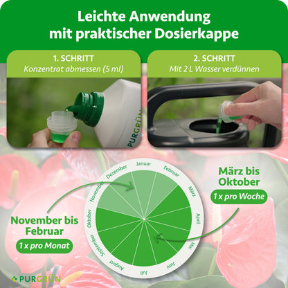 Anwendung in zwei Schritten: 5 ml Konzentrat abmessen und mit 2 Liter Wasser verdünnen. März bis Oktober einmal pro Woche, November bis Februar einmal pro Monat anwenden.