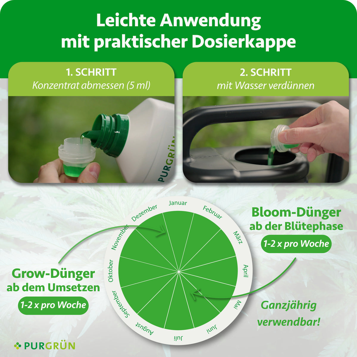 Eine Hand gießt Purgrün Autoflower-Dünger-Set 2 x 1 Liter in einen grünen Verschluss und gibt Wasser hinzu. Eine Tabelle zeigt den monatlichen Verbrauch von Auto-Grow- und Bloom-Dünger. Der Text betont die einfache Anwendung und die ganzjährige Eignung.