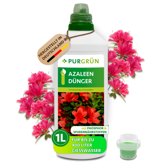 Purgrün Azaleen-Dünger im 1-Liter-Kanister mit Dosierkappe und pinken Azaleen; reicht für bis zu 400 Liter Gießwasser.
