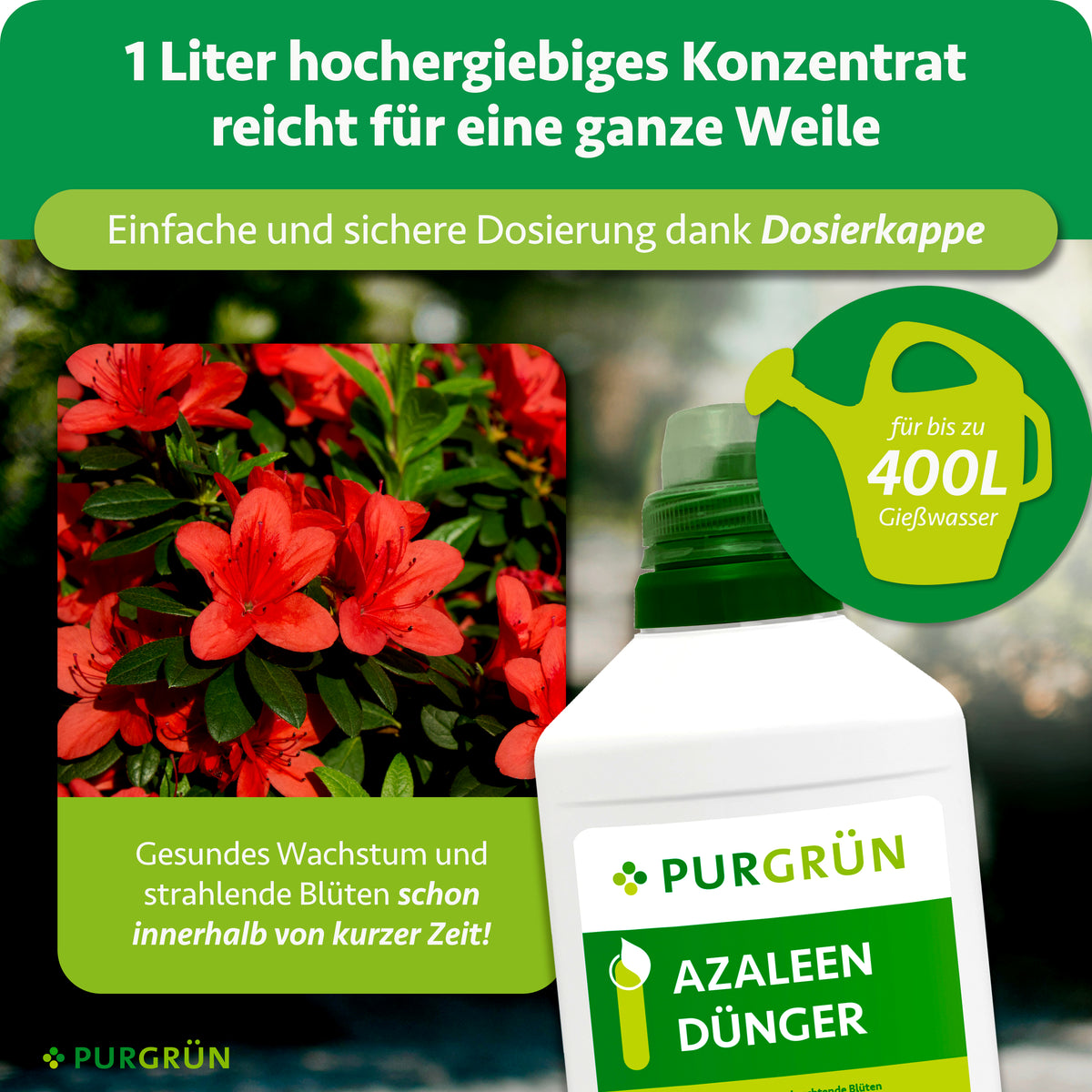 1 Liter ergiebiges Konzentrat mit Dosierkappe reicht für bis zu 400 Liter Gießwasser; daneben blühende rote Azaleen.