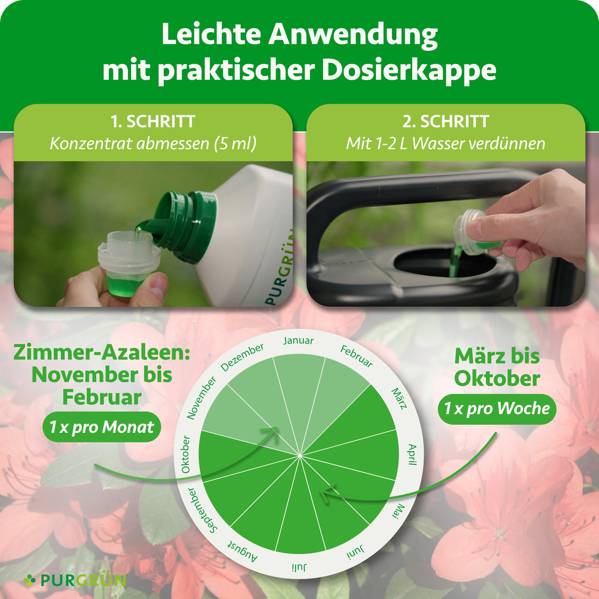 Anwendung: 5 ml Konzentrat abmessen und mit 1–2 Litern Wasser verdünnen. Zimmer-Azaleen von November bis Februar einmal monatlich, von März bis Oktober einmal wöchentlich düngen.
