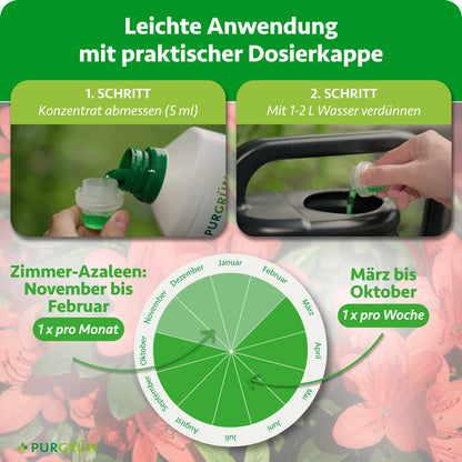 Anwendung: 5 ml Konzentrat abmessen und mit 1–2 Litern Wasser verdünnen. Zimmer-Azaleen von November bis Februar einmal monatlich, von März bis Oktober einmal wöchentlich düngen.