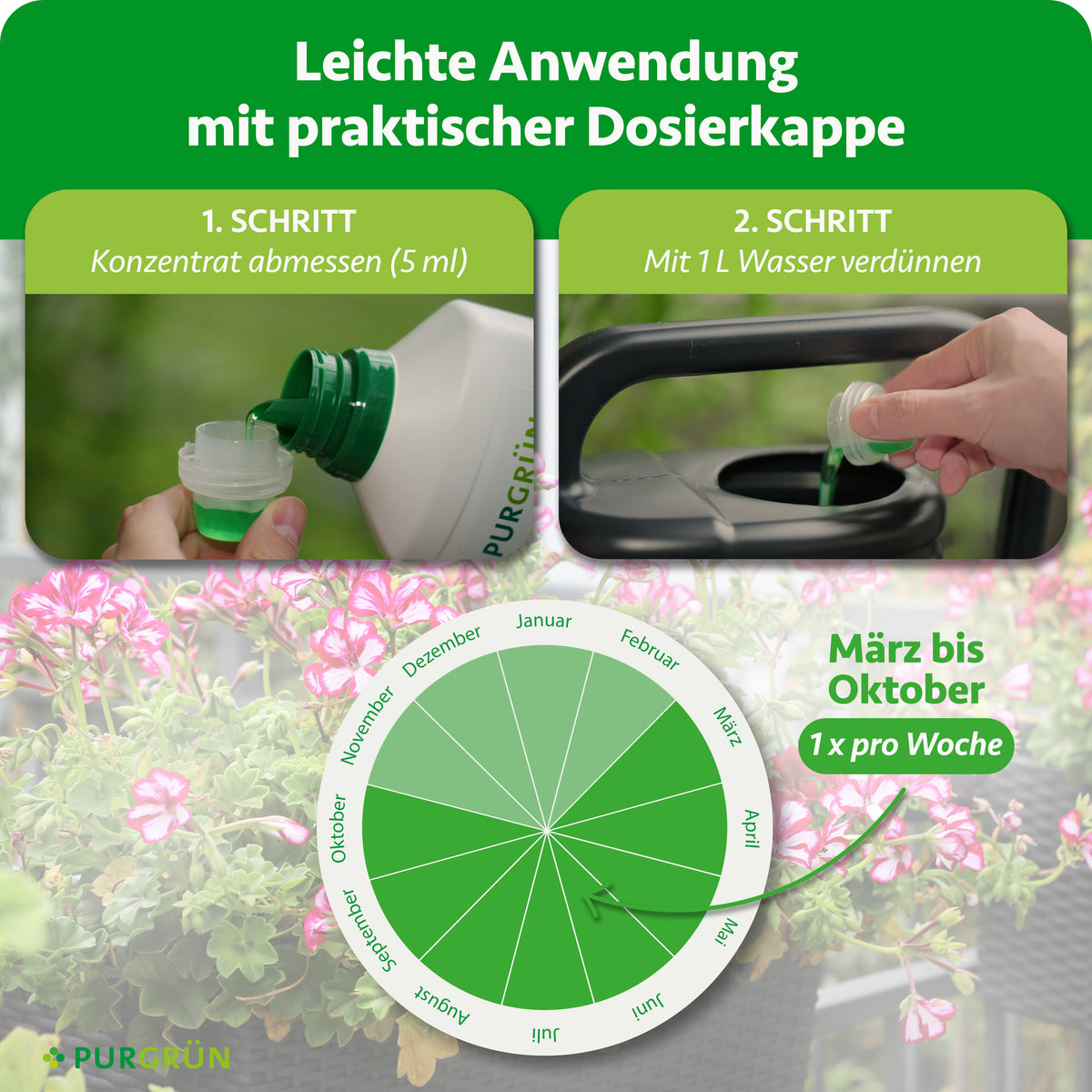 Anwendung: 5 ml Konzentrat abmessen, mit 1 Liter Wasser verdünnen und von März bis Oktober einmal pro Woche düngen.