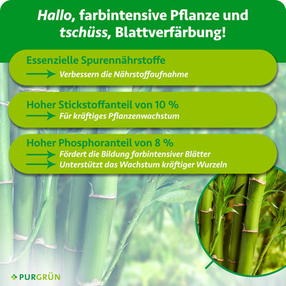 Spurennährstoffe verbessern die Nährstoffaufnahme; 10 % Stickstoff fördern kräftiges Wachstum, 8 % Phosphor farbintensive Blätter und kräftige Wurzeln.