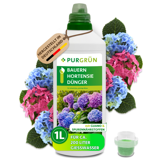 Purgrün Bauernhortensie-Dünger in der 1-Liter-Flasche mit Dosierkappe, umgeben von blauen und rosa Hortensienblüten.