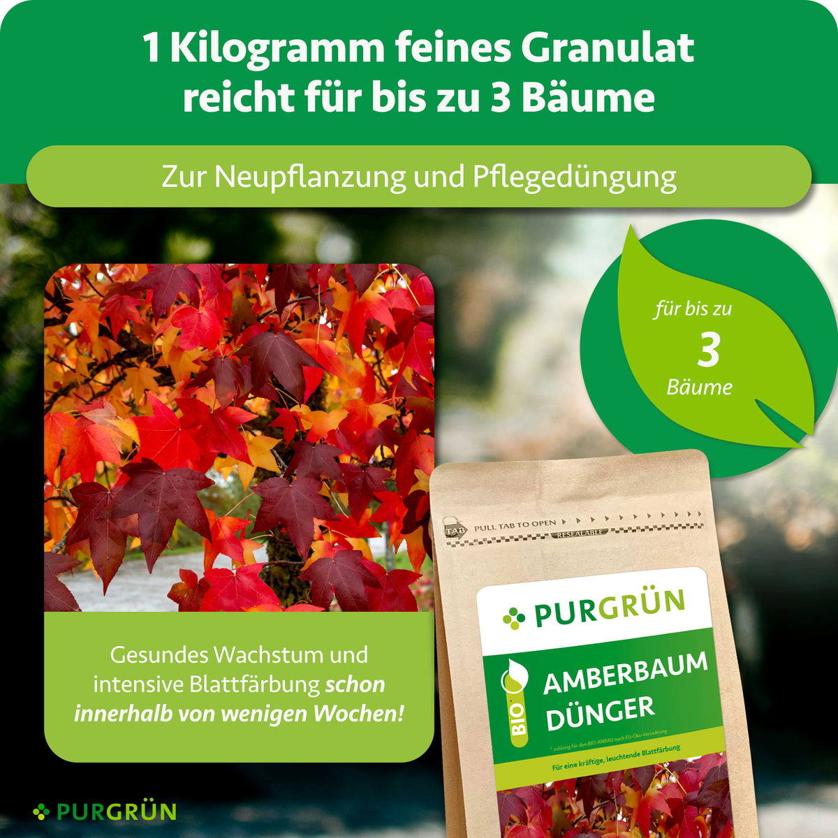 1 Kilogramm feines Granulat reicht bei Neupflanzung und Pflegedüngung für bis zu 3 Bäume; gesundes Wachstum und intensive Blattfärbung innerhalb weniger Wochen.