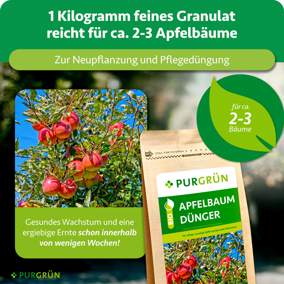 1 kg feines Granulat reicht für ca. 2–3 Apfelbäume und eignet sich zur Neupflanzung und Pflegedüngung.