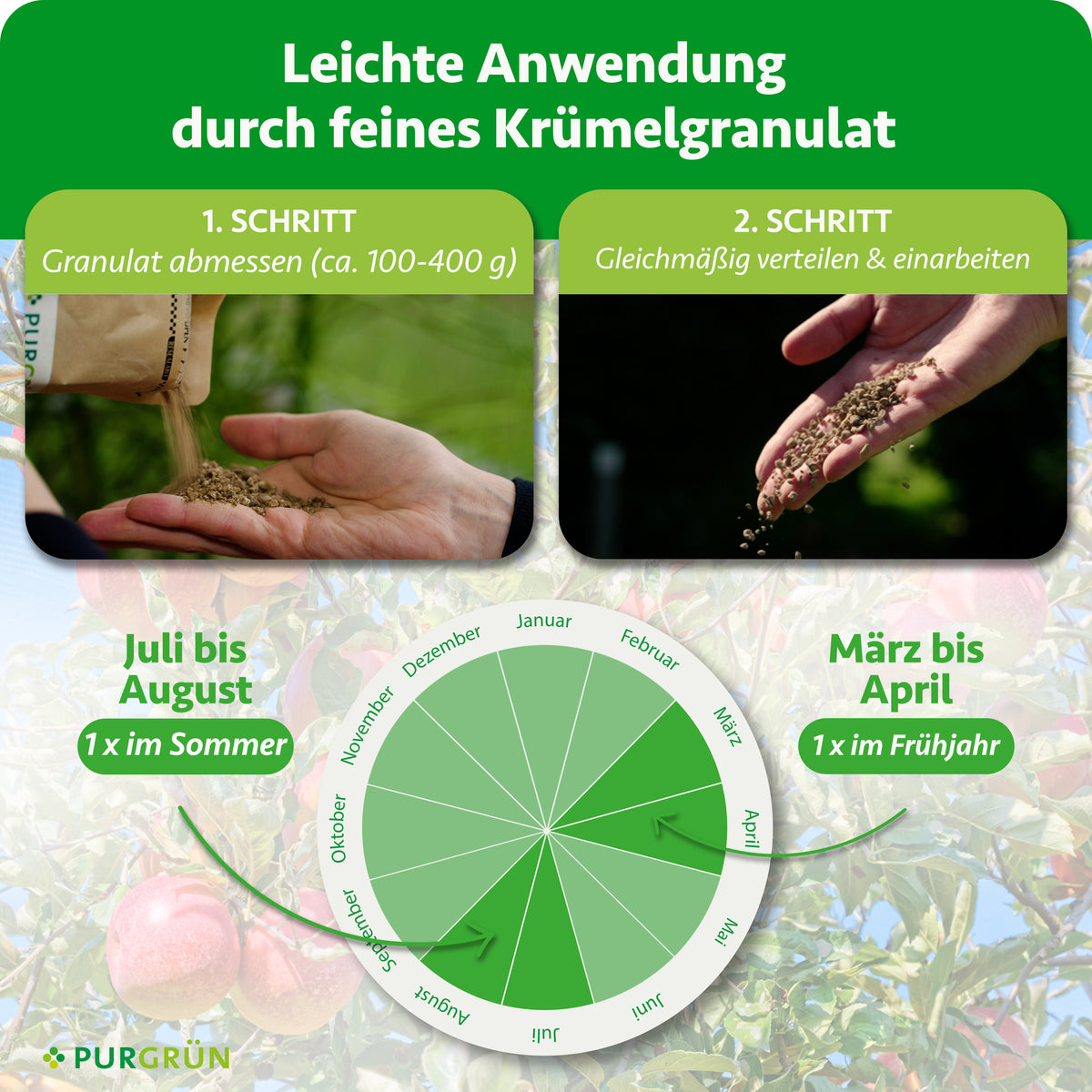 Anwendung: ca. 100–400 g Granulat abmessen, gleichmäßig verteilen und einarbeiten; je einmal im März bis April und im Juli bis August düngen.