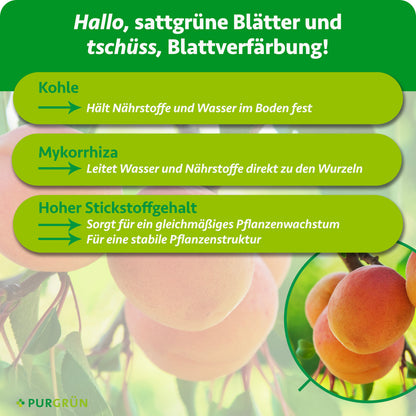 Kohle hält Nährstoffe und Wasser im Boden fest, Mykorrhiza leitet beides direkt zu den Wurzeln. Hoher Stickstoffgehalt sorgt für gleichmäßiges Pflanzenwachstum und eine stabile Pflanzenstruktur.