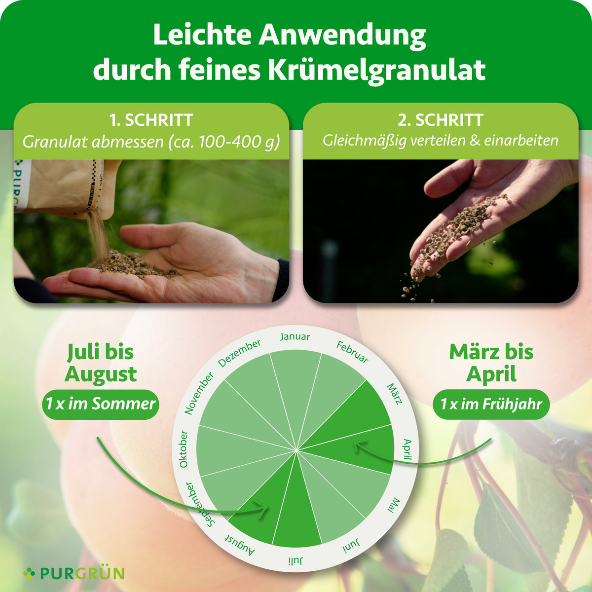 Ca. 100–400 g Granulat abmessen, gleichmäßig verteilen und einarbeiten. Je einmal von März bis April im Frühjahr und von Juli bis August im Sommer düngen.