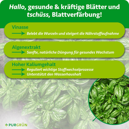 Vinasse belebt die Wurzeln und steigert die Nährstoffaufnahme, Algenextrakt unterstützt eine sanfte, natürliche Düngung. Der hohe Kaliumgehalt reguliert Stoffwechselprozesse und unterstützt den Wasserhaushalt.