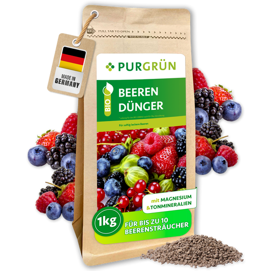 Purgrün Bio-Beerendünger im 1-kg-Beutel mit Beerenmotiv, umgeben von Beeren und feinem Granulat.