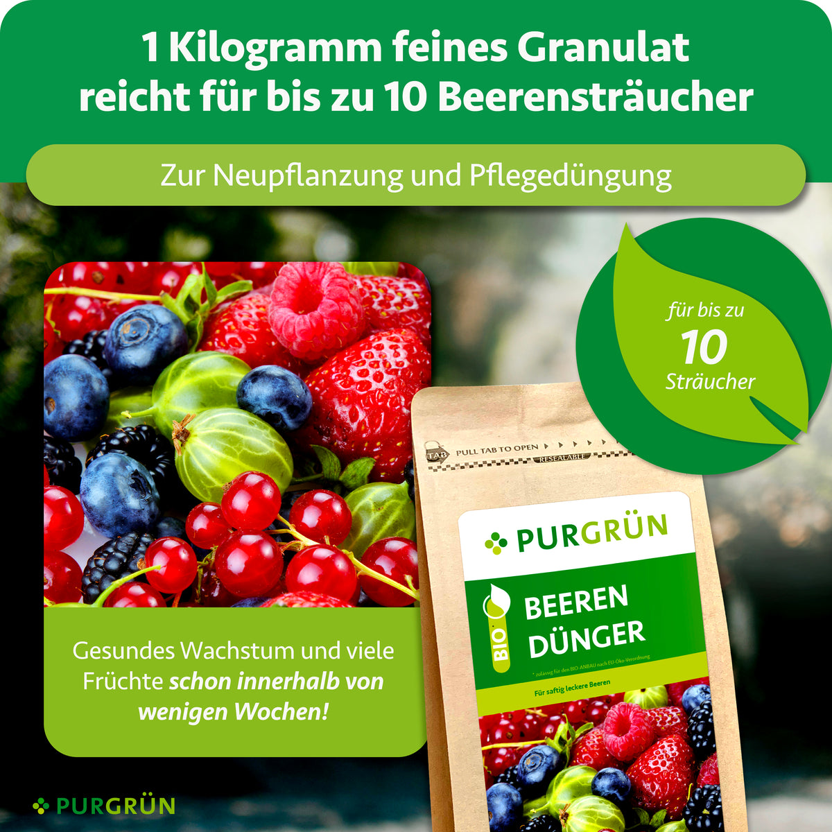 1 kg feines Granulat reicht zur Neu- und Pflegedüngung von bis zu 10 Beerensträuchern; gesundes Wachstum und viele Früchte werden innerhalb weniger Wochen hervorgehoben.
