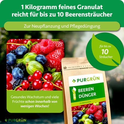 1 kg feines Granulat reicht zur Neu- und Pflegedüngung von bis zu 10 Beerensträuchern; gesundes Wachstum und viele Früchte werden innerhalb weniger Wochen hervorgehoben.