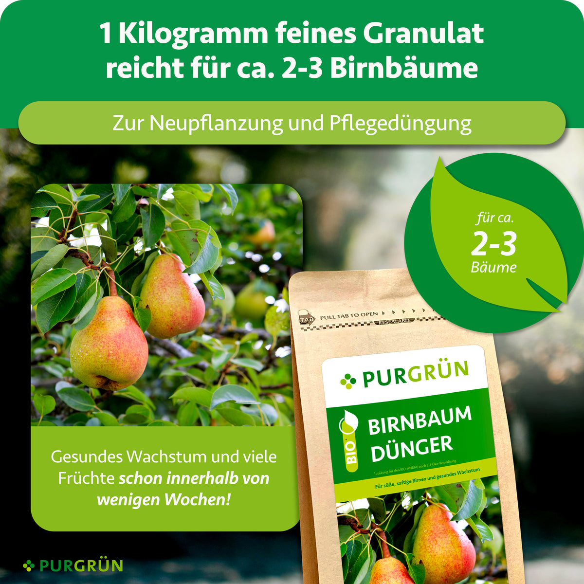 1 kg feines Granulat reicht für ca. 2–3 Birnbäume und eignet sich zur Neupflanzung und Pflegedüngung.