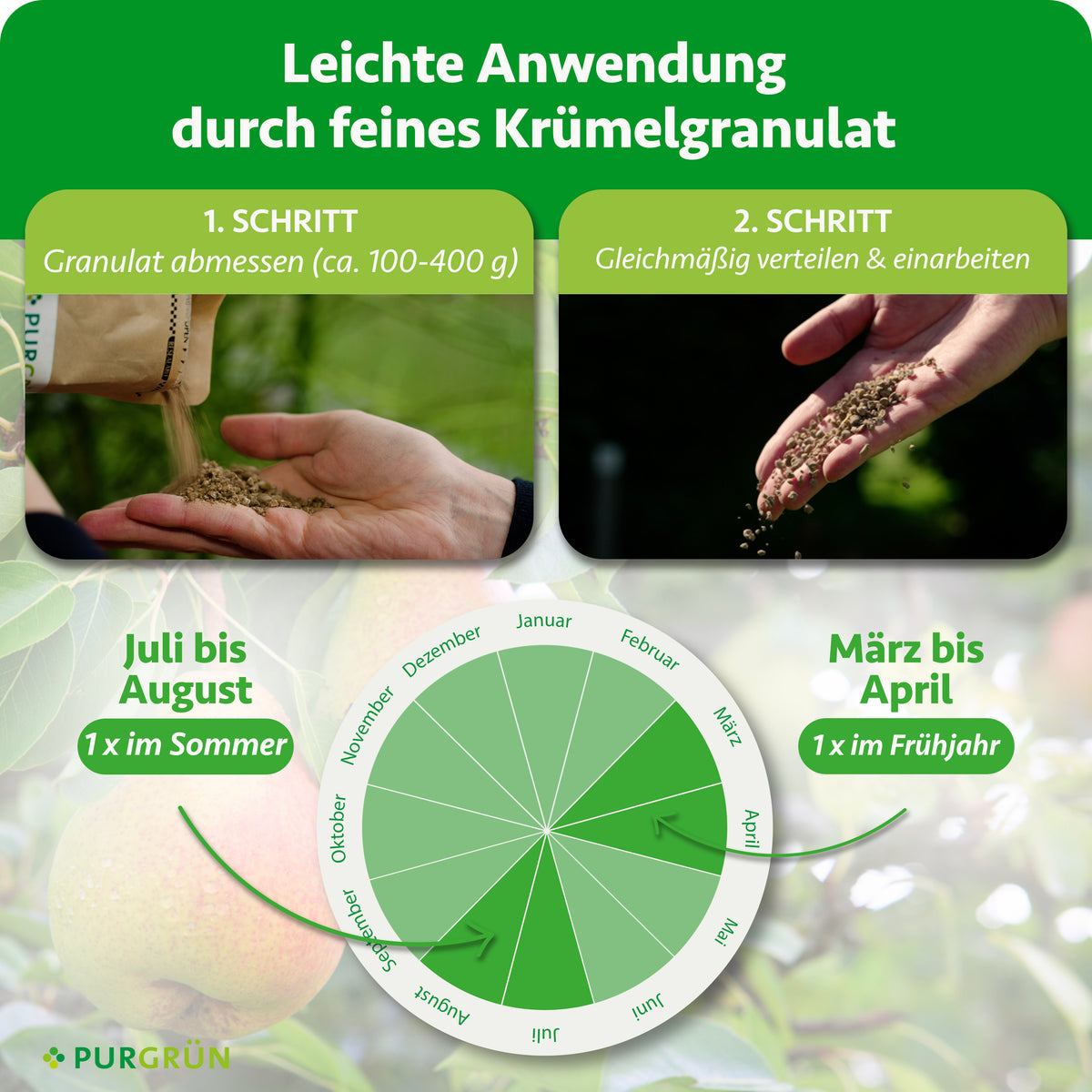 Ca. 100–400 g Granulat abmessen, gleichmäßig verteilen und einarbeiten. Je einmal von März bis April und von Juli bis August düngen.