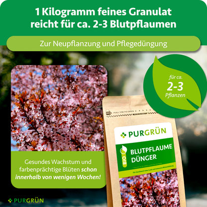 1 kg feines Granulat reicht für ca. 2–3 Blutpflaumen und eignet sich zur Neupflanzung und Pflegedüngung.