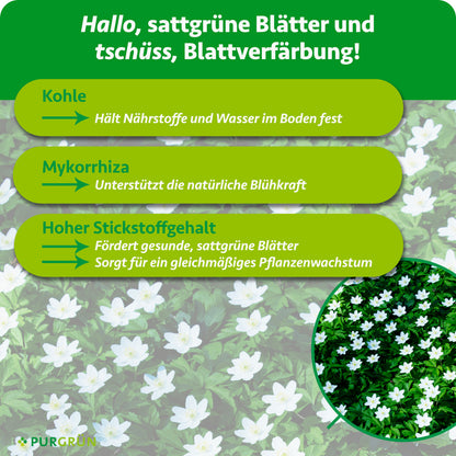 Kohle hält Nährstoffe und Wasser im Boden, Mykorrhiza unterstützt die natürliche Blühkraft, und hoher Stickstoffgehalt fördert sattgrüne Blätter sowie gleichmäßiges Wachstum.