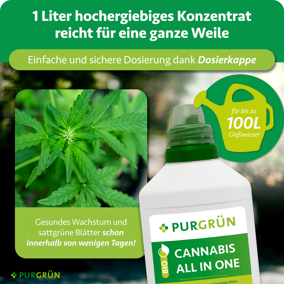 Ein Liter Konzentrat mit Dosierkappe reicht für bis zu 100 Liter Gießwasser und fördert laut Infografik innerhalb weniger Tage gesundes Wachstum und sattgrüne Blätter.