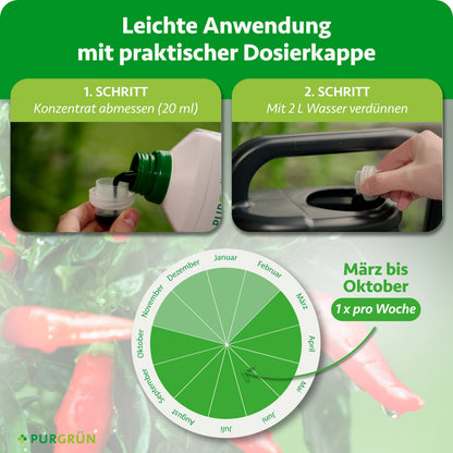 Anwendung: 20 ml Konzentrat mit der Dosierkappe abmessen, mit 2 Litern Wasser verdünnen und von März bis Oktober 1× pro Woche düngen.