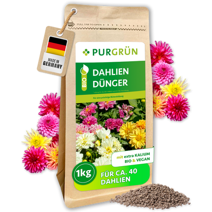 Purgrün Bio-Dahlien-Dünger im 1-kg-Beutel, für ca. 40 Dahlien und mit extra Kalium, umgeben von Dahlienblüten und Granulat.