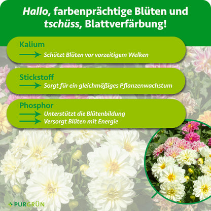 Kalium schützt Blüten vor vorzeitigem Welken, Stickstoff sorgt für gleichmäßiges Pflanzenwachstum und Phosphor unterstützt die Blütenbildung und Energieversorgung.