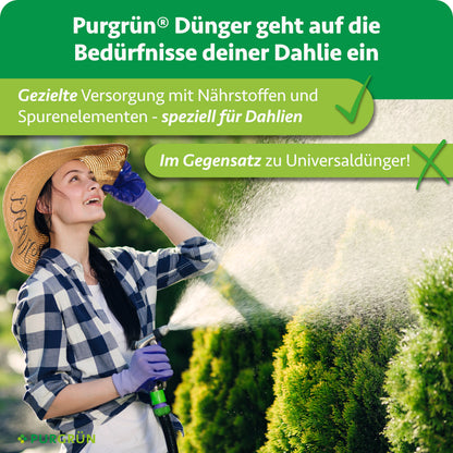 Purgrün-Dünger versorgt Dahlien gezielt mit Nährstoffen und Spurenelementen – speziell für Dahlien statt Universaldünger.
