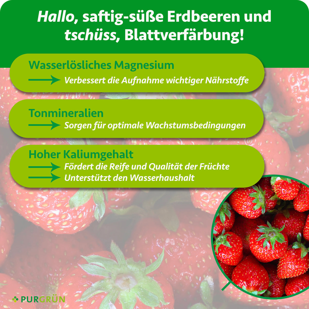 Wasserlösliches Magnesium verbessert die Nährstoffaufnahme, Tonmineralien schaffen optimale Wachstumsbedingungen und Kalium fördert Fruchtreife, Fruchtqualität und Wasserhaushalt.